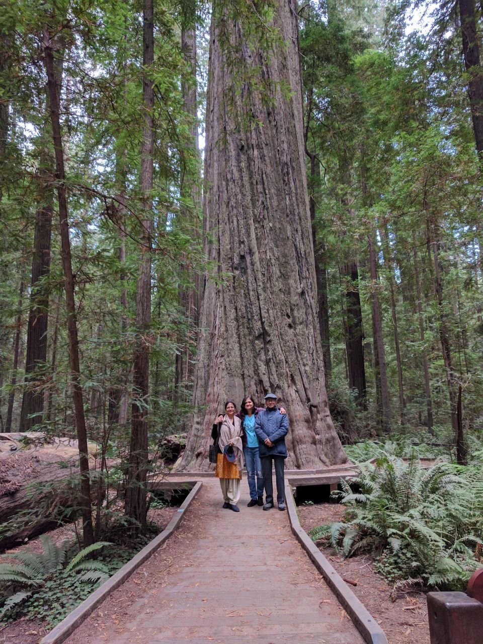 THE BEST Hotels in Redwood National Park, CA 2024 - Tripadvisor