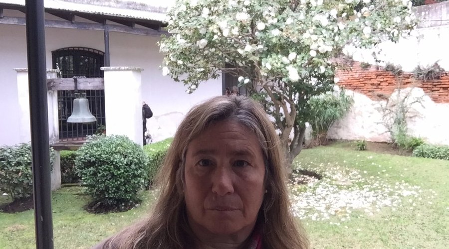 campana, jardin y camelia