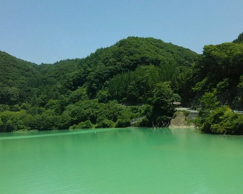 関東地方の公園 自然 ベスト10 トリップアドバイザー