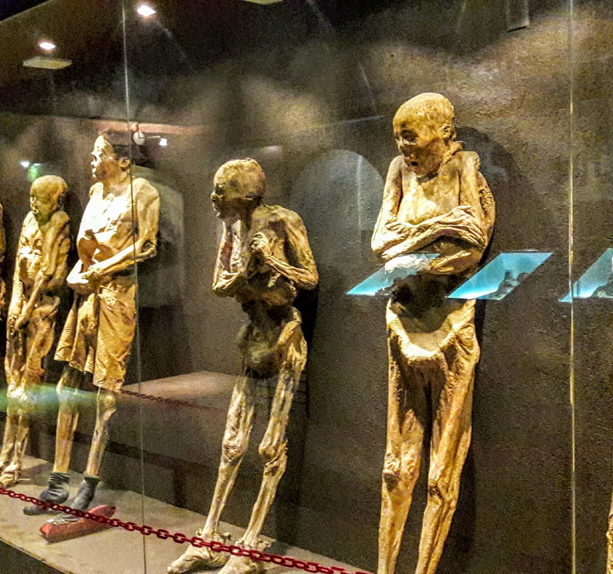 MUSEO DE LAS MOMIAS DE GUANAJUATO Qué SABER antes de