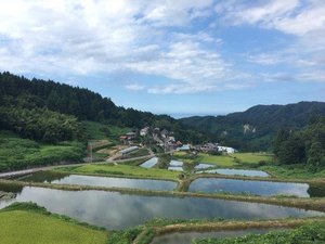 部屋からの眺め