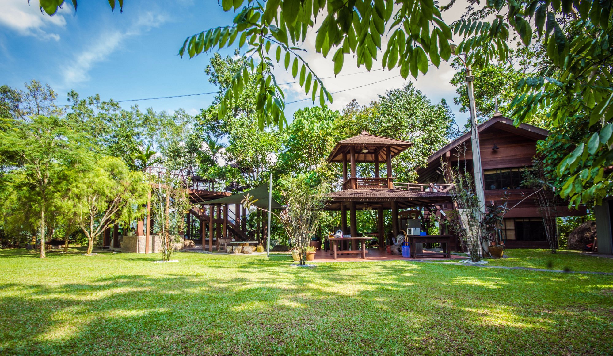 Templer Park Rainforest Retreat image