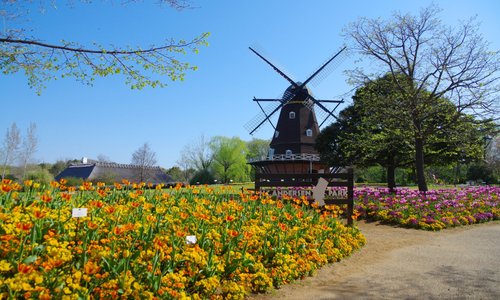 21年 船橋市で絶対外さないおすすめ観光スポットトップ10 定番から穴場まで トリップアドバイザー