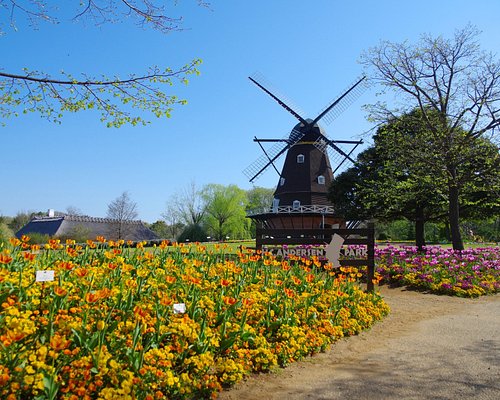 千葉県の遊園地 ベスト10 トリップアドバイザー