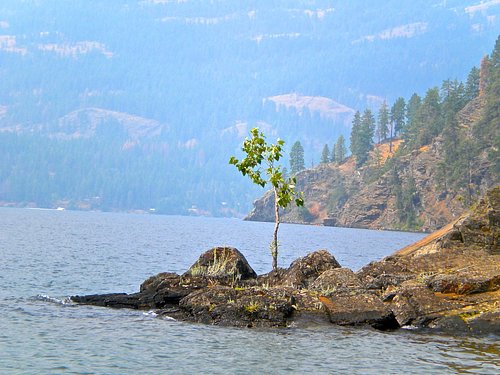 places to visit in sandpoint idaho