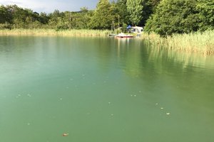 Keutschach Am See Singleboerse