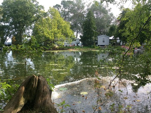 SANDBANKS RIVER COUNTRY CAMPGROUND (Picton, Canadá - Ontario ...