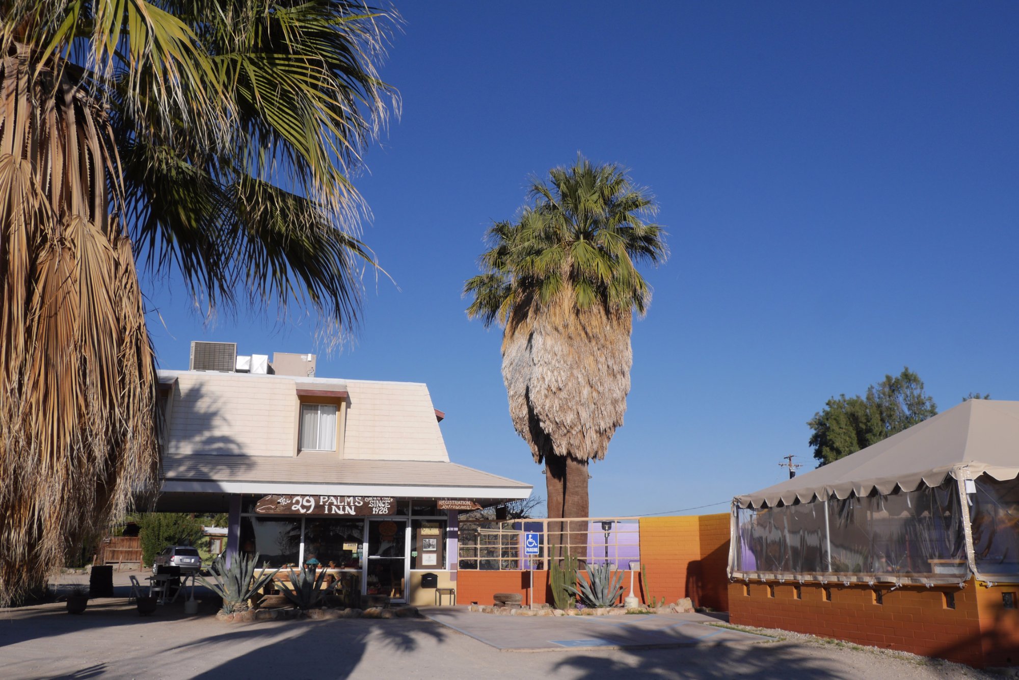 29 PALMS INN (Twentynine Palms, CA): Opiniones Y Precios