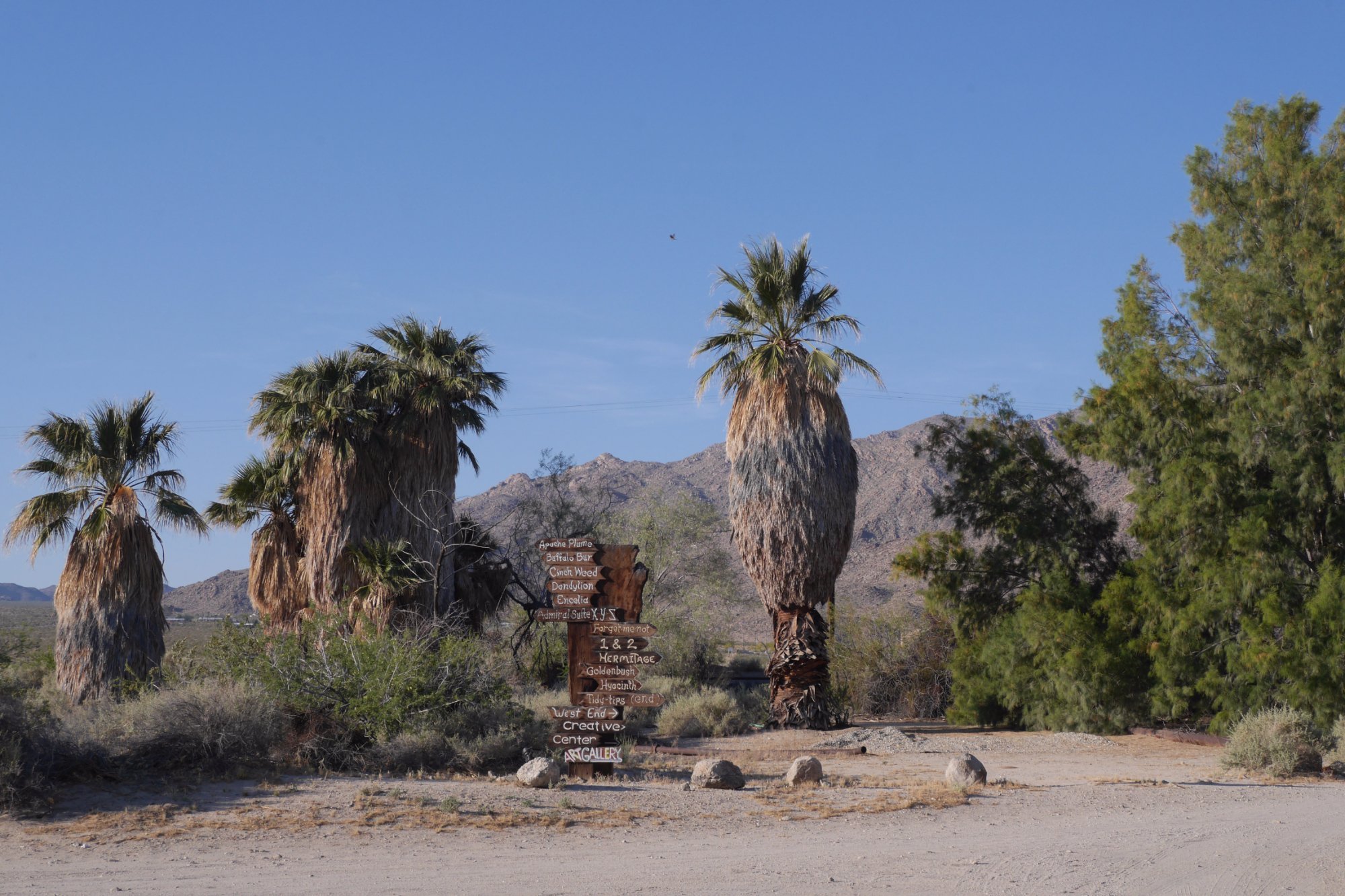 29 Palms Inn by null