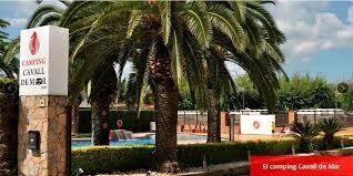 Imagen 2 de Camping Cavall de Mar