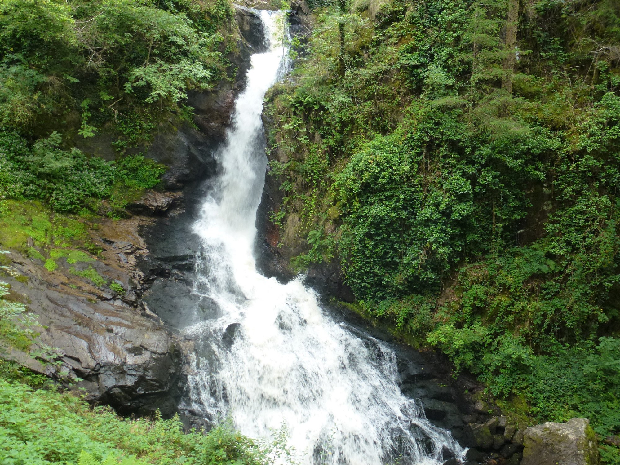 Parc Vuillier, Gimel-les-Cascades: лучшие советы перед посещением ...