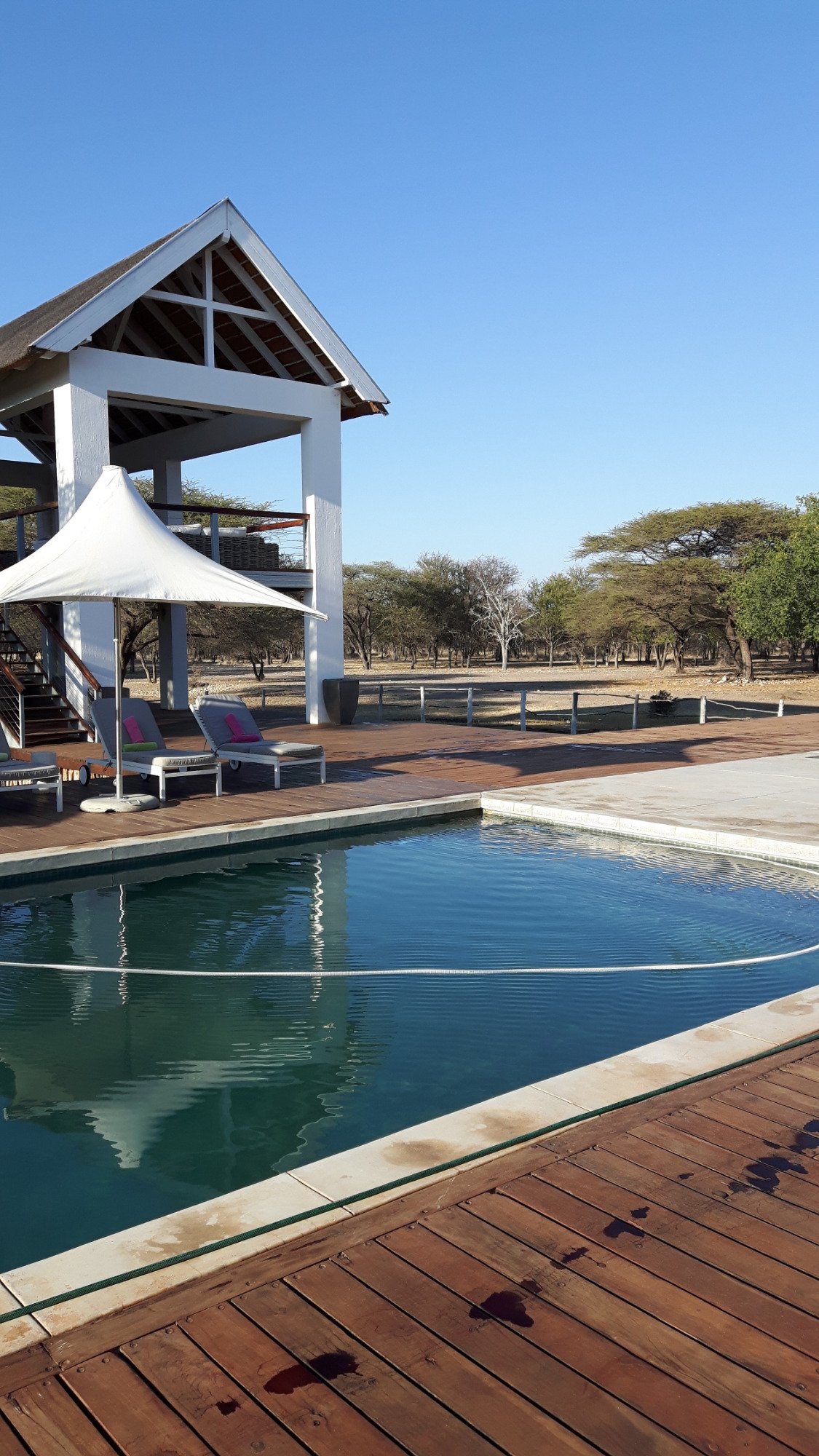 Emanya@Etosha Pool: Pictures & Reviews - Tripadvisor