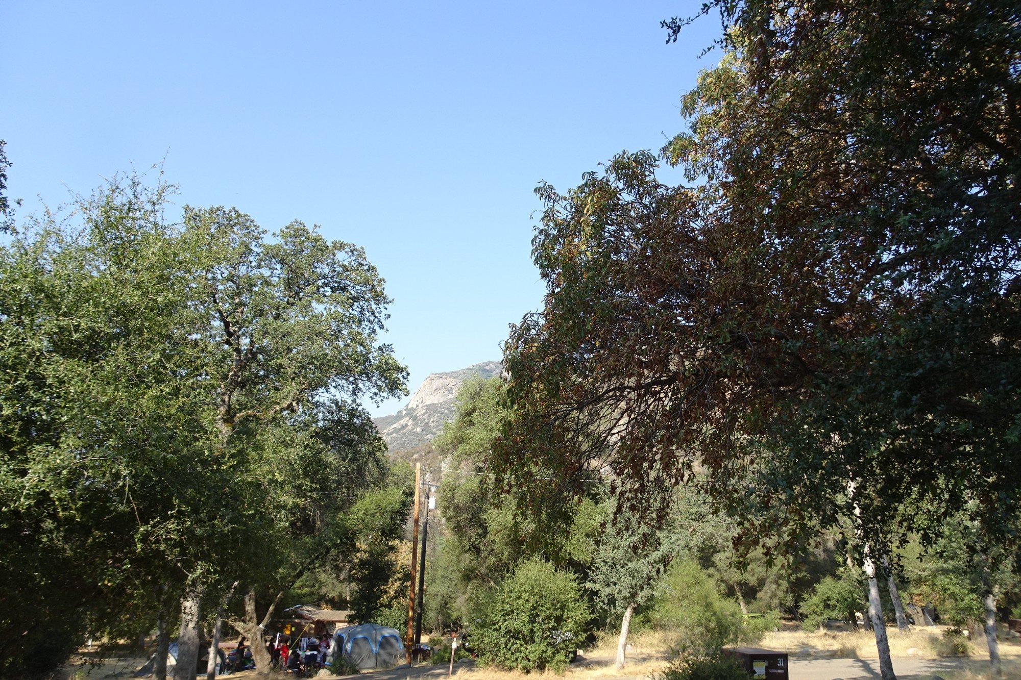 Potwisha Campground by null
