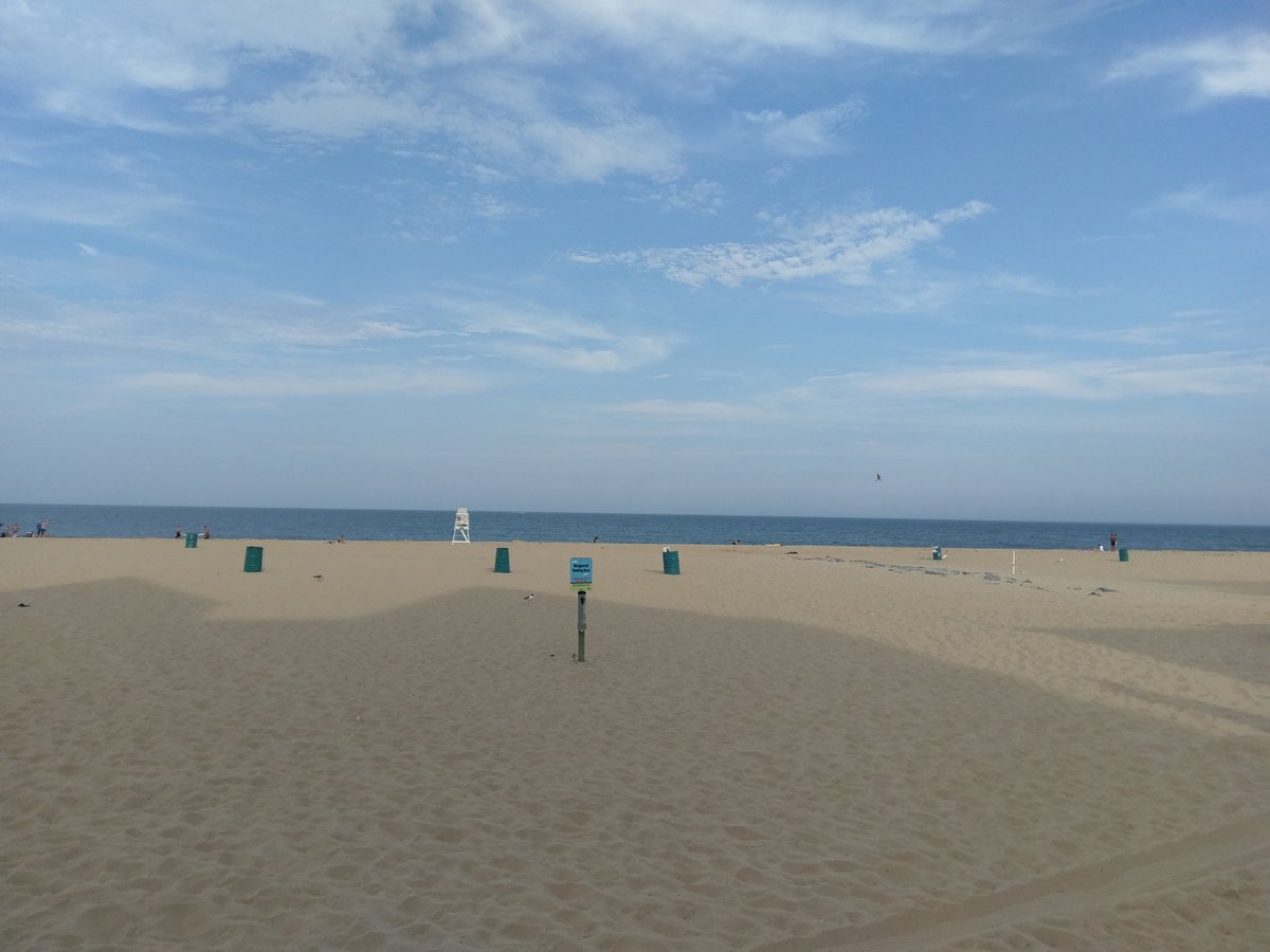 are dogs allowed on fenwick island beach