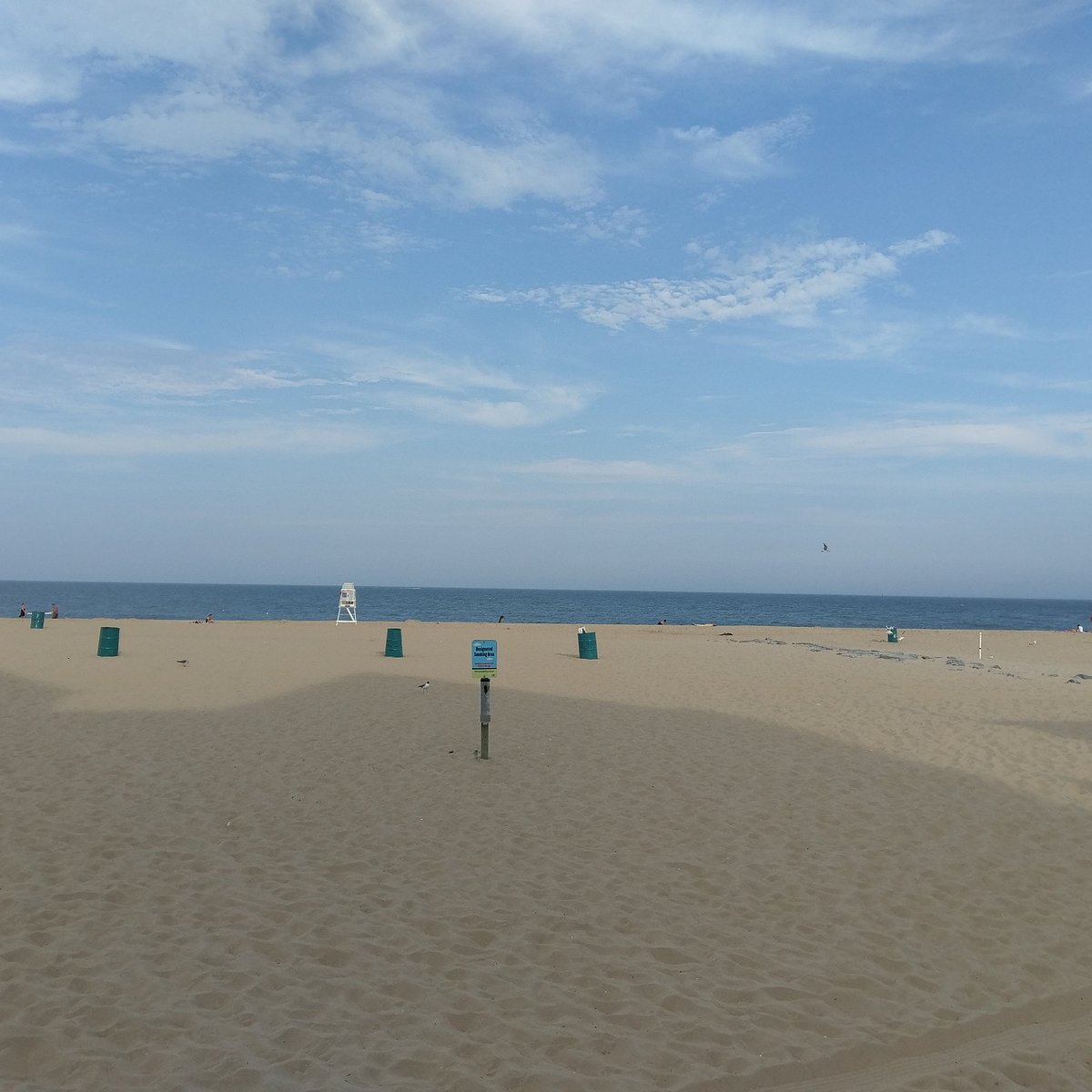 are dogs allowed at fenwick island state park