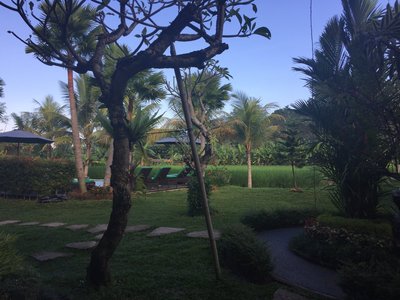 Hotel photo 2 of Ubud Tropical Garden.