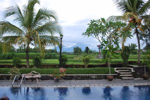Wisatawan