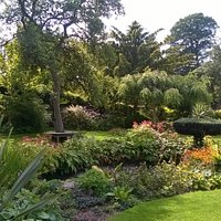 The Garden