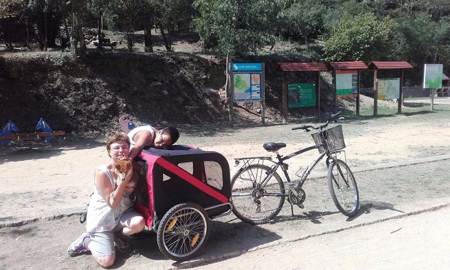 Porque en Bicicarril todos tienen sitio: carrito para mascotas!
