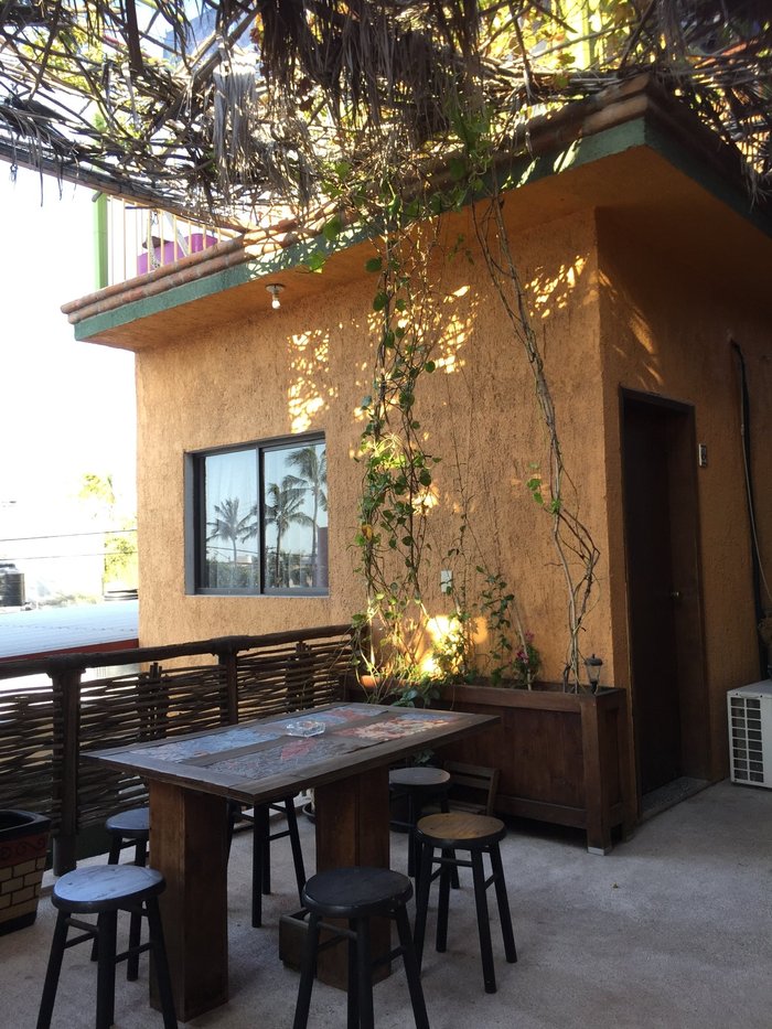 Baja Paradise Kitchenettes: Pictures & Reviews - Tripadvisor