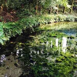 21年 南阿蘇村で絶対外さないおすすめ観光スポットトップ10 定番から穴場まで トリップアドバイザー 21年 南阿蘇村で絶対外さないおすすめ観光スポットトップ10 定番から穴場まで トリップアドバイザー