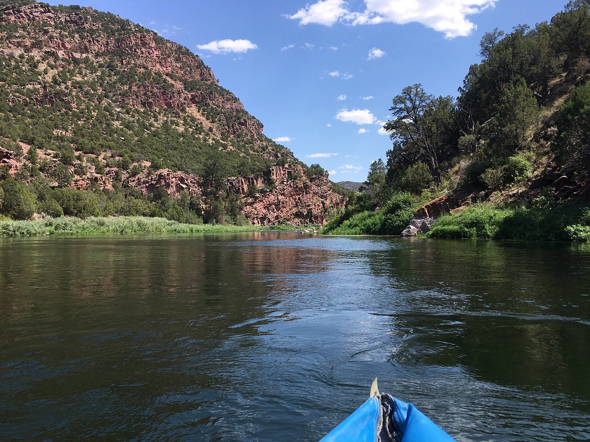 Trout Creek Flies and Green River Outfitters Day Trips (Dutch John