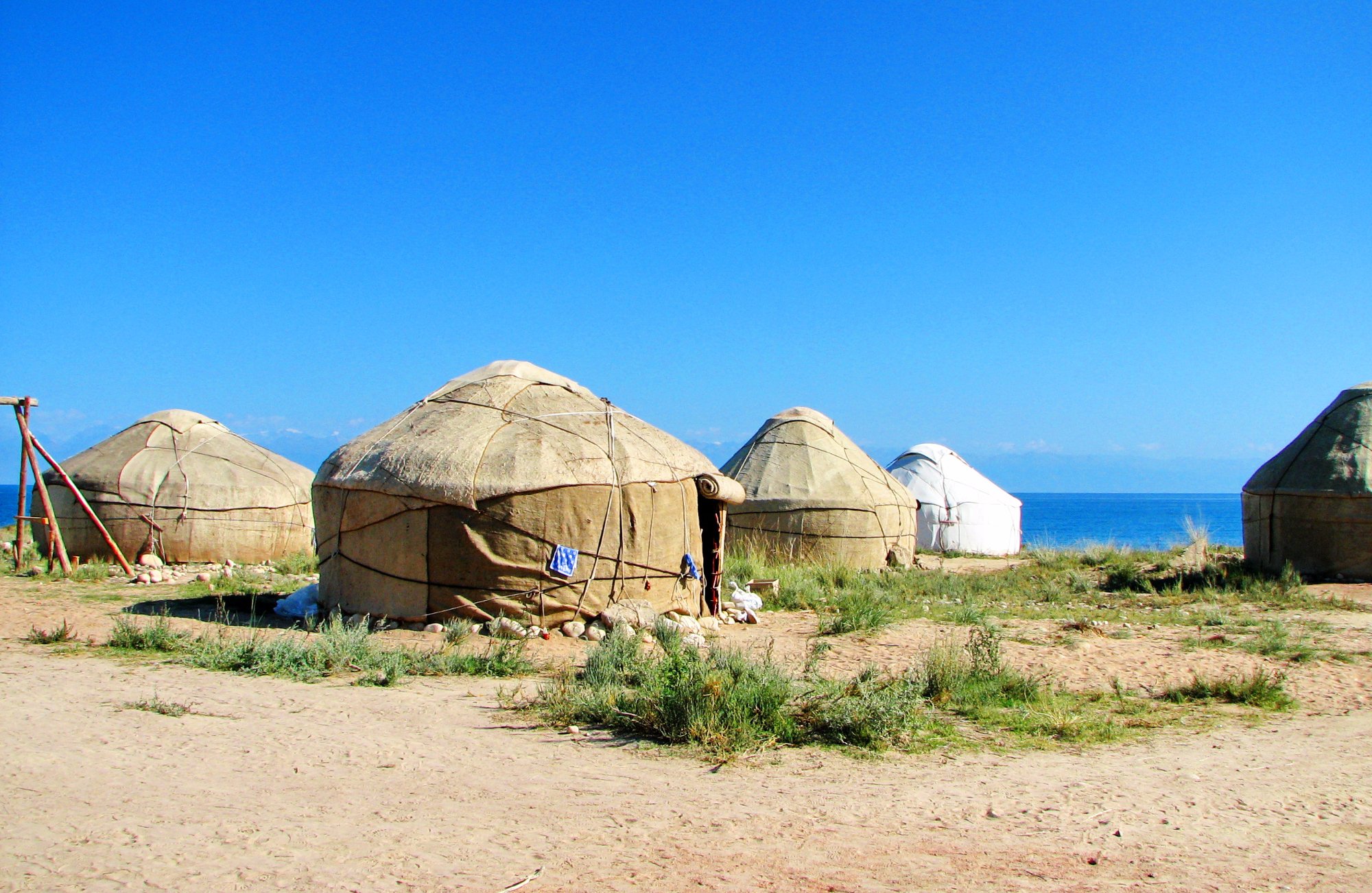 Bel tam 2025 yurt camp