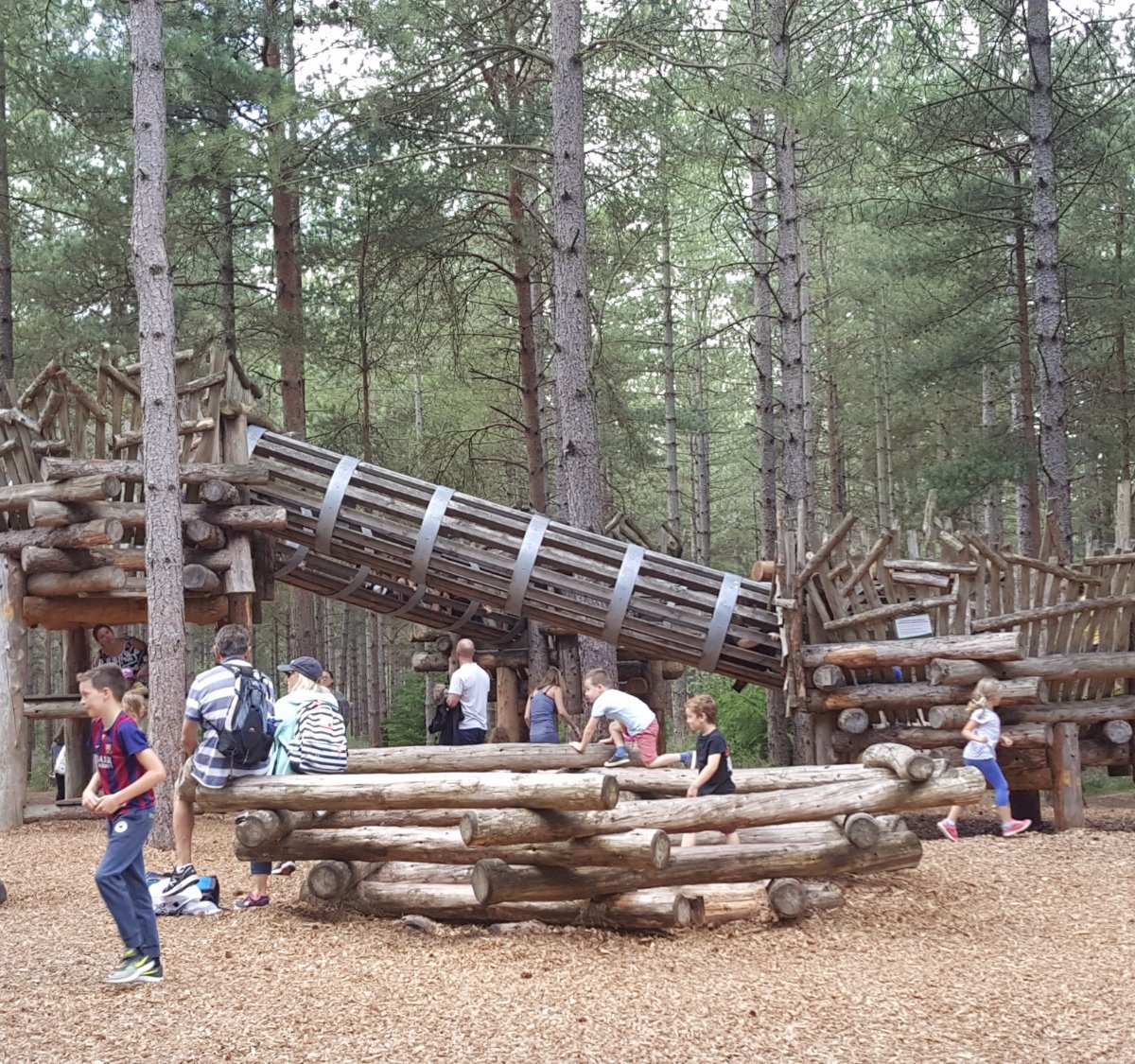 MOORS VALLEY COUNTRY PARK AND FOREST (Ringwood) - Lo que se debe saber ...