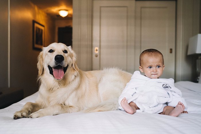 Fairmont Hotel Vancouver welcomes both 2-legged and 4-legged family members!