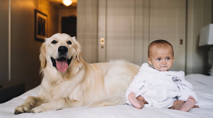 Fairmont Hotel Vancouver welcomes both 2-legged and 4-legged family members!