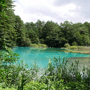 21年 北塩原村で絶対外さないおすすめ観光スポットトップ10 定番から穴場まで トリップアドバイザー