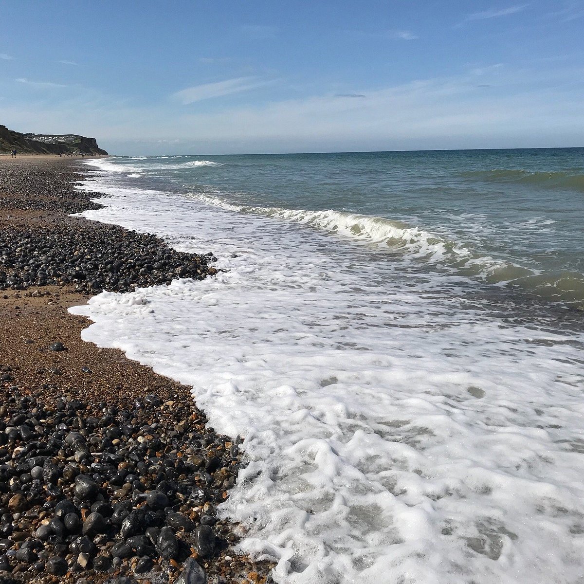 is cromer beach dog friendly