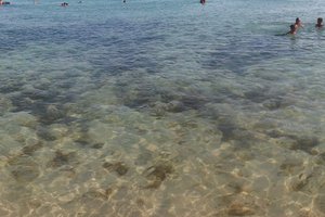 Piscina y playa