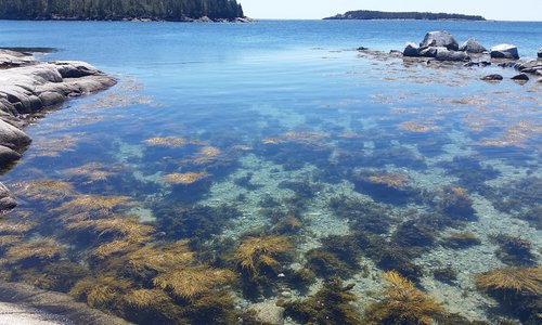 Crystal Clear Diving