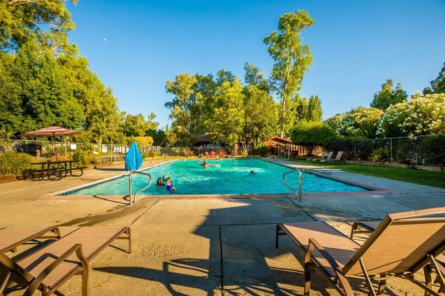 Sip, Stay, & Stargaze: Your Northern California Vineyard RV Park Adventure