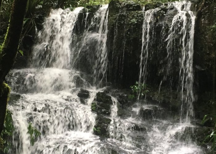 Toloona and the many water falls accessed through Lamington National Park - stay at O'Reillys Ra