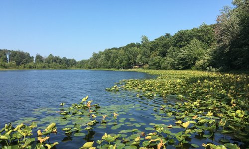 Allegan, MI 2023: Best Places to Visit - Tripadvisor