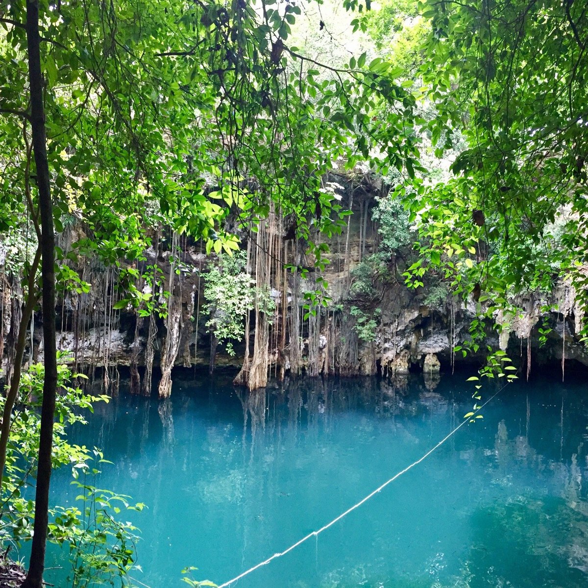 CENOTE YOKDZONOT YUCATÁN MEXICO