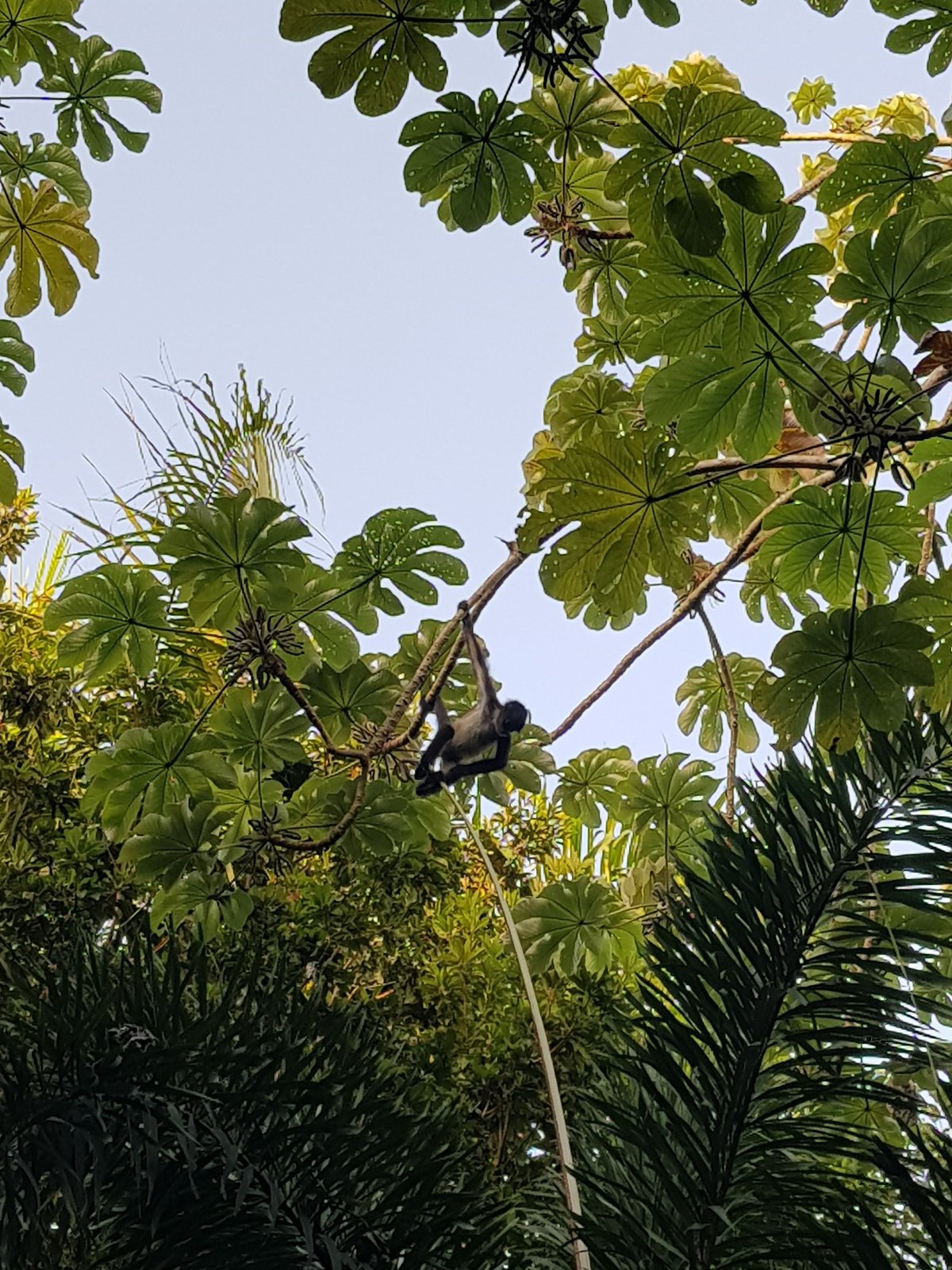 LA HACIENDA CANCUN (Канкун) - отзывы и фото - Tripadvisor