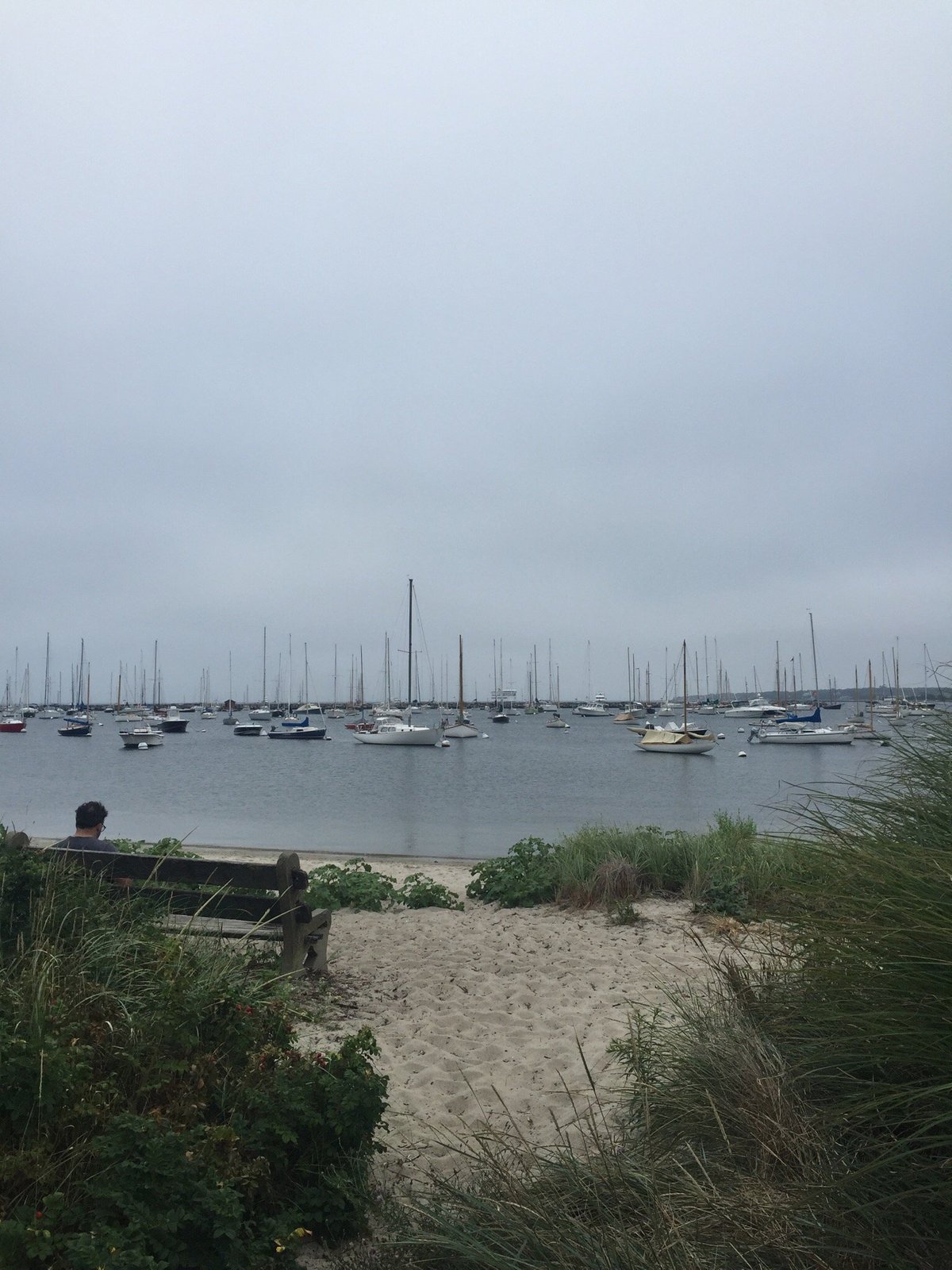 22年 Vineyard Haven Marina 行く前に 見どころをチェック トリップアドバイザー