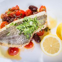 Halibut