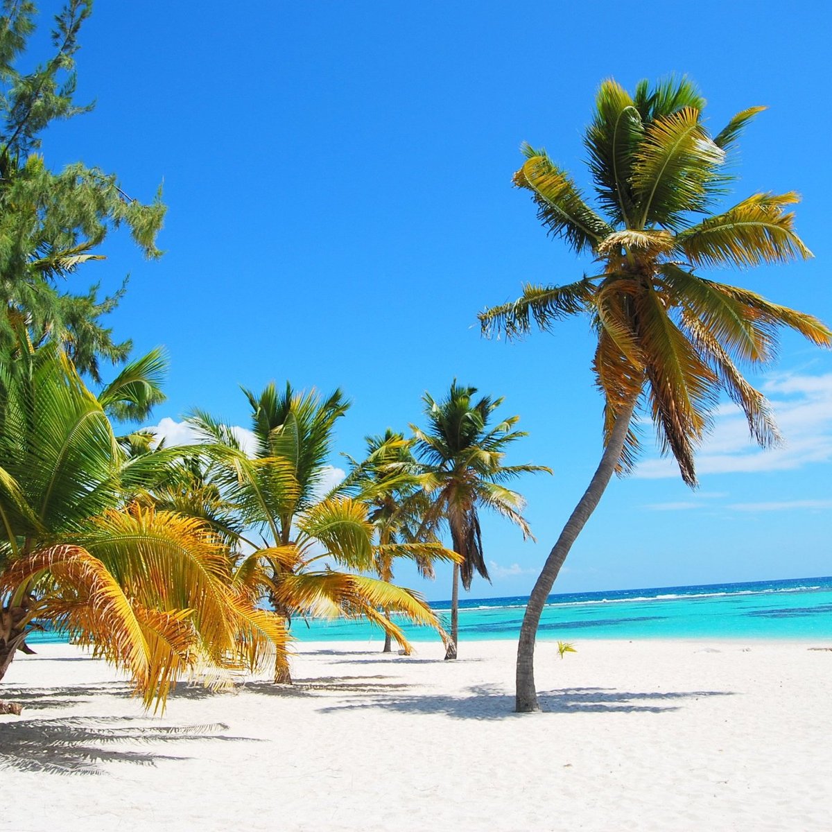 Saona Island (Caraibi)