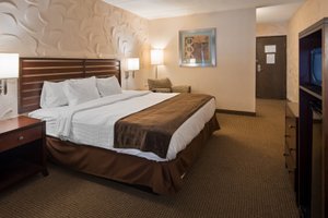 Room & Suite
