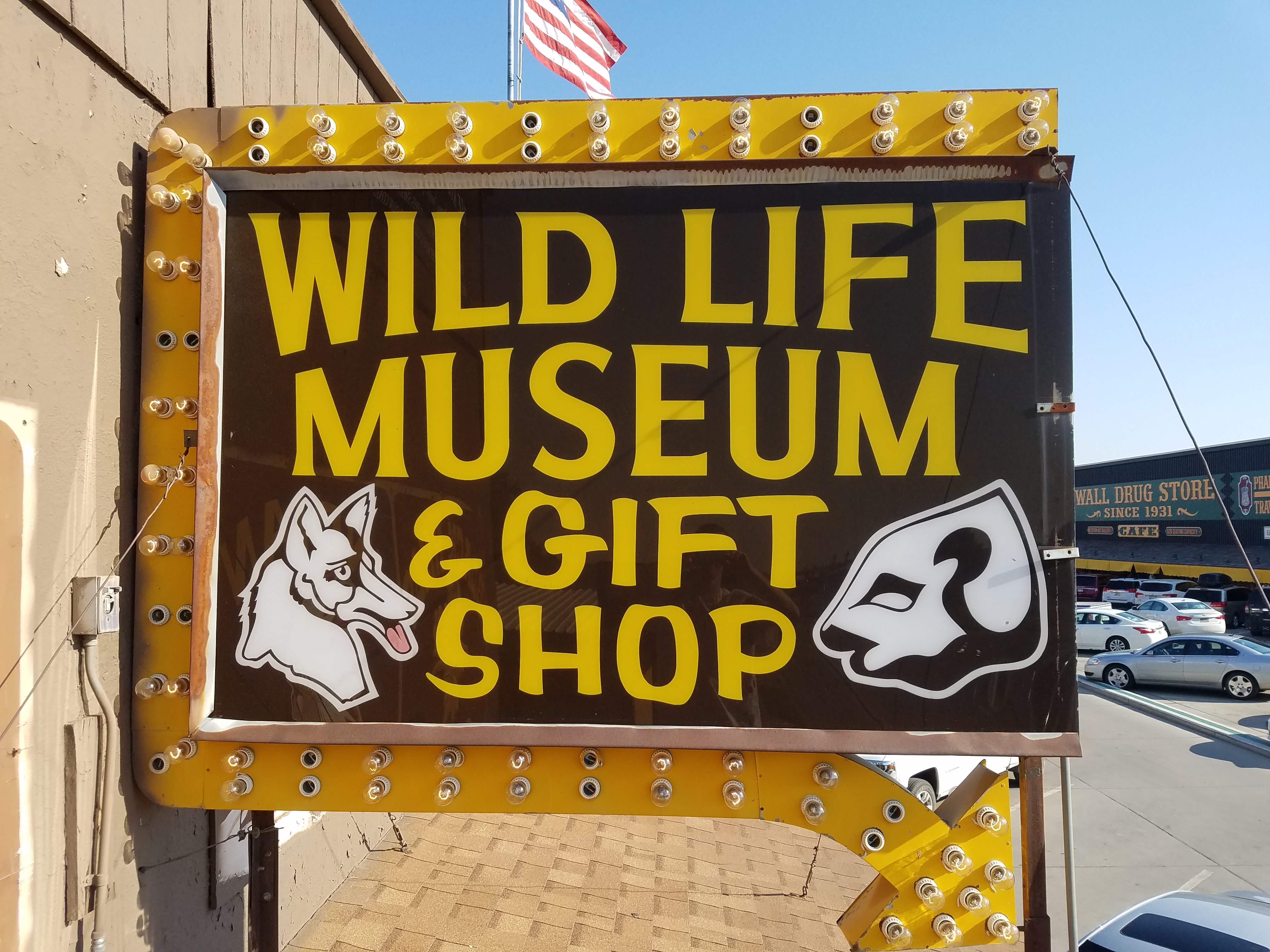 Museum of the dog gift shop best sale