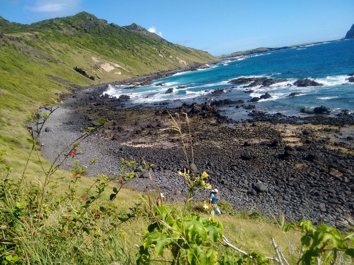 THE 15 BEST Things to Do in Fernando de Noronha - 2022 (with Photos ...