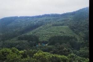 部屋からの眺め