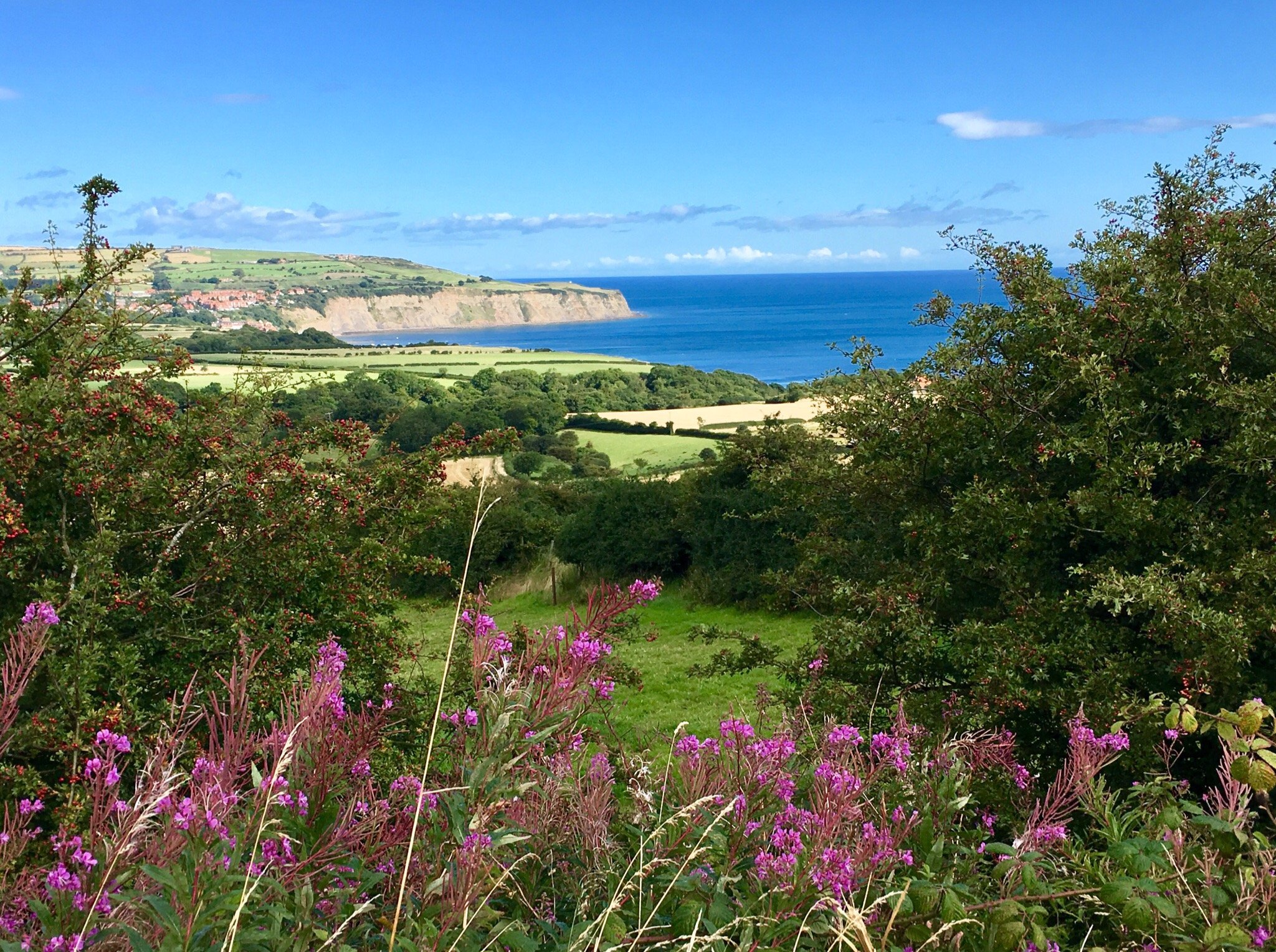 THE 10 BEST Things To Do In North York Moors National Park - 2022 (with ...