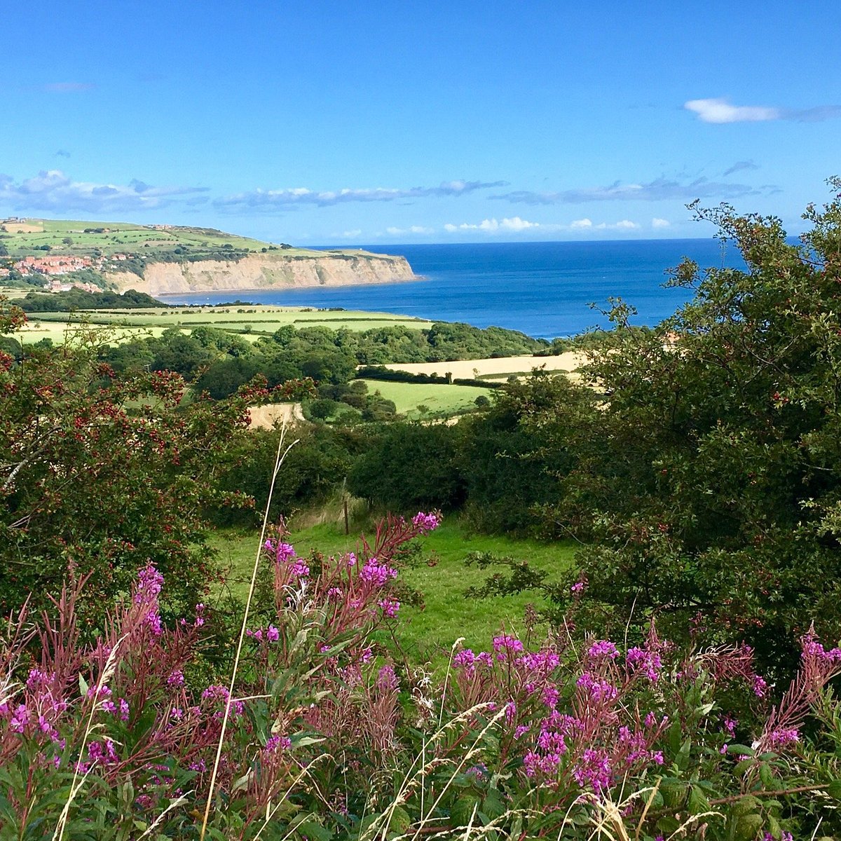 ALONG THE COAST AT ROBIN HOOD'S BAY (Robin Hoods Bay) All You Need to Know