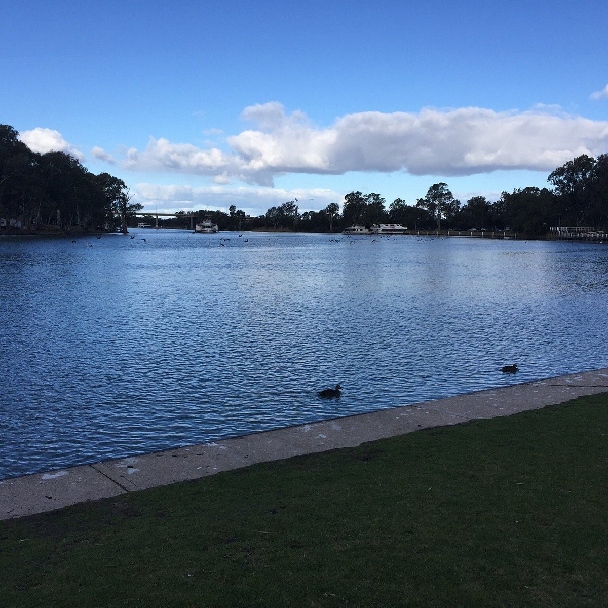 Mildura Riverfront All You Need To Know Before You Go