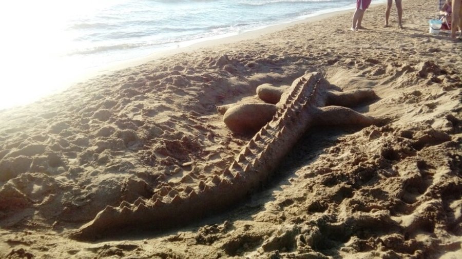si arriva in spiaggia e si combatte con i coccodrilli
